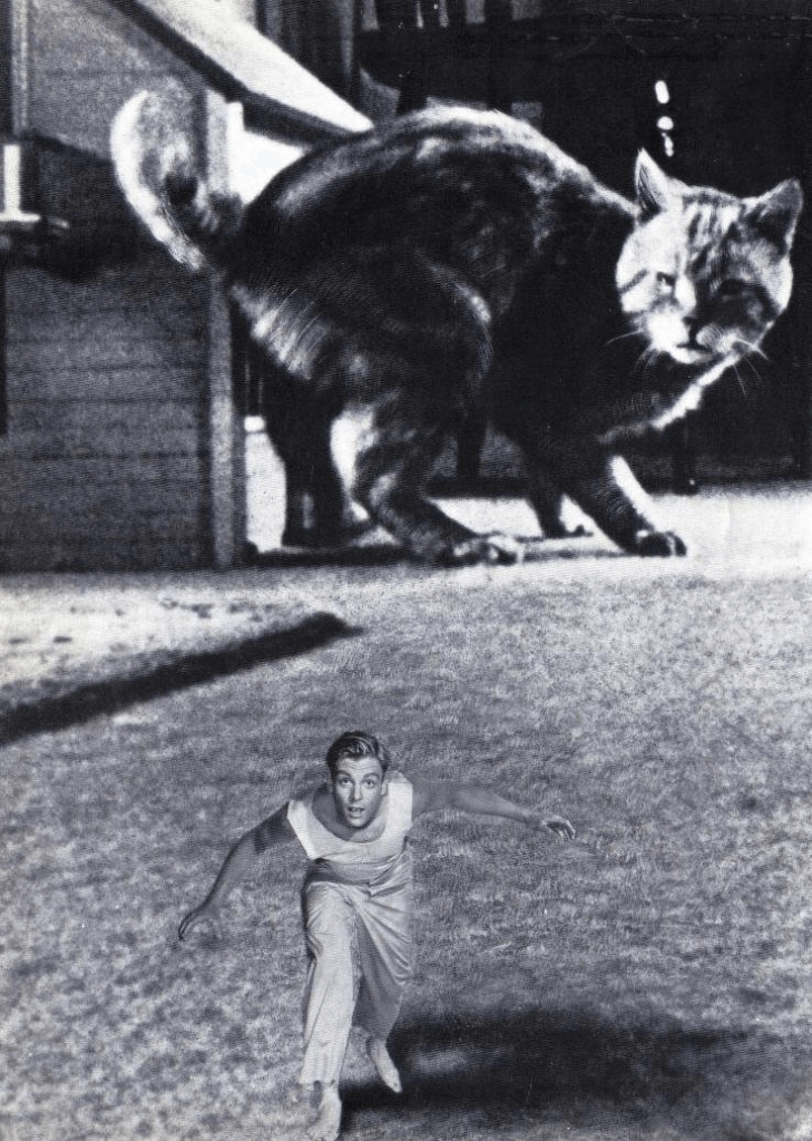 Incredible Shrinking Man